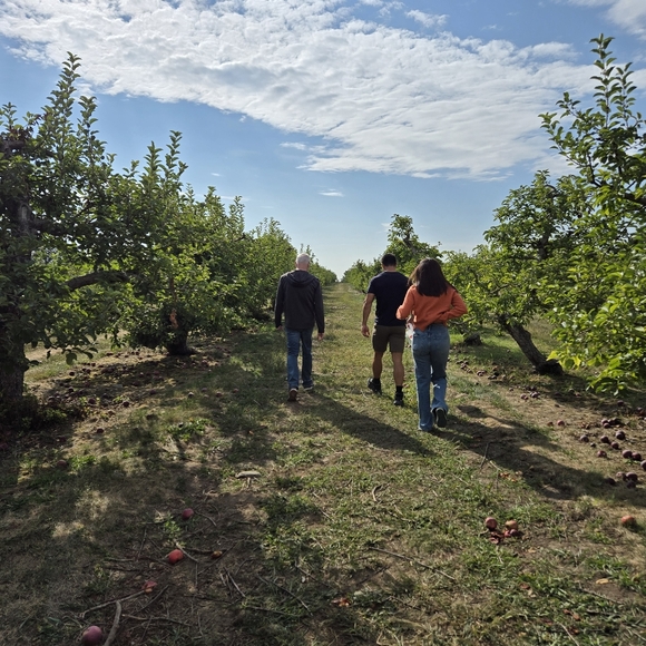 Meet your Posher, Cora - Picture 3 of 4